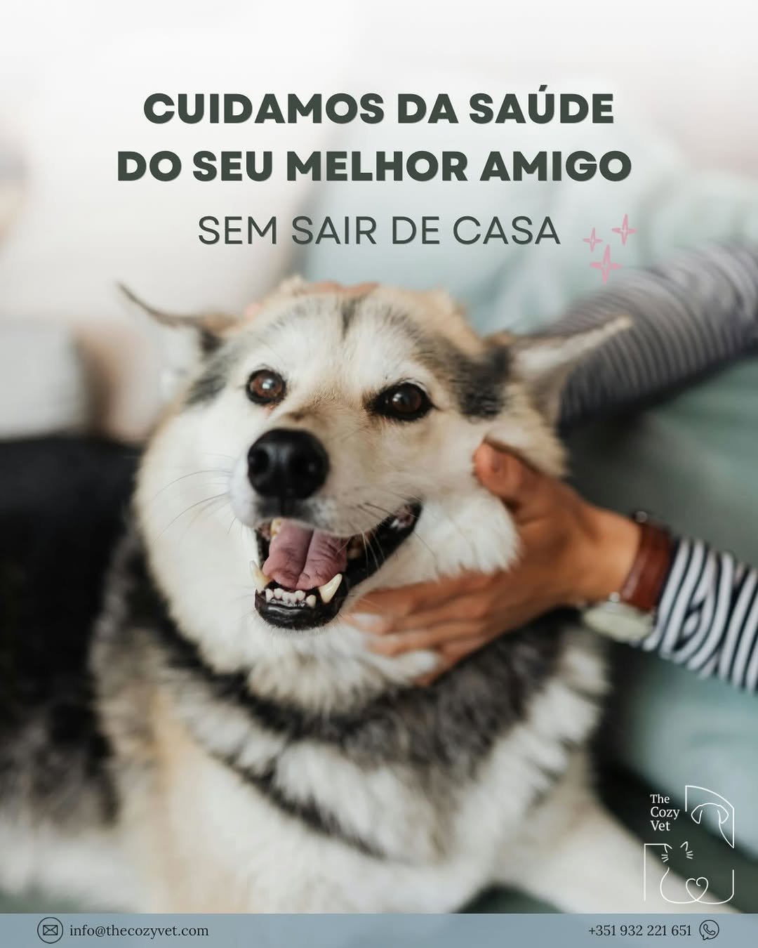 Cuidar da saúde do seu animal não tem de significar stress, transportadoras ou salas de espera.

O The Cozy Vet é um serviço veterinário ao domicílio pensado para tornar as consultas mais tranquilas, com todo o tempo que o seu animal precisa.

Consultas, vacinação e acompanhamento clínico personalizados no conforto da sua casa.

📍 Lisboa e arredores
📩 info@thecozyvet.com
WhatsApp +351 932 221 651

#vetinlisbon #vetemcasa #veterinarioaodomicilio #vetlisboa #gatoslisboa 

The Cozy Vet 💕